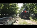 Download Lagu Superfresh Growers PNW Cherry Harvest \u0026 Packing