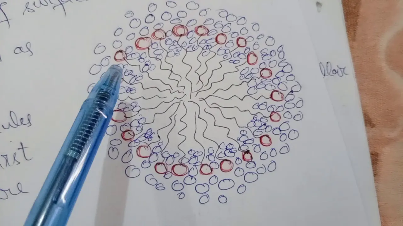 Micellar shape and structure