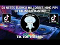 Download Lagu DJ NETES ELOHKU MILI DERES  NING PIPI - DJ KELINGAN MANTAN TIK TOK TERBARU
