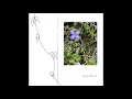 Porter Robinson - Mother (Official Audio)