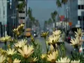 N+s  مهما يكون عندي شعــور بنلتقي