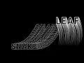 After Effects Typography Echo Effect in After Effects Snake Text Animation in After Effects