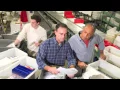 ResourceMFG Search Group