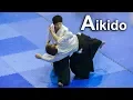 Download Lagu Aikido Freestyle techniques in Croatia ‐ Shirakawa Ryuji shihan Download Lagu Aikido Freestyle techniques in Croatia ‐ Shirakawa Ryuji shihan
