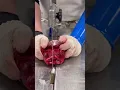 Cutting a Goat for Retail Homestead Meats Processing