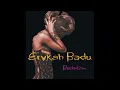 Erykah Badu - "Next Lifetime"