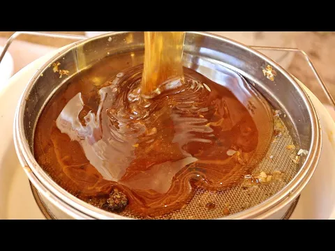 Download MP3 Harvesting 90 Pounds of PURE, GOLDEN Honey!