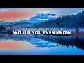 Audien & William Black Feat. Tia Tia - Would You Even Know (Extended Mix) | Melodic Bass