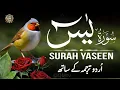 Download Lagu Surah Yaseen with Urdu Translation Full | Episode - 639 | Surah Yaseen Tarjuma Ke Sath