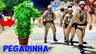 BUSHMAN PRANK AT THE STREET MARKET - COMPILATION 2025 #1