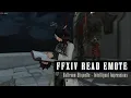 FFXIV Read Emote - Ballroom Etiquette