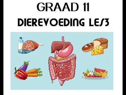 Download MP3 Lewenswetenskappe Gr11 Dierevoeding Les3