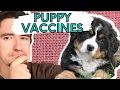 What vaccines does your puppy need