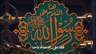 قصيدة   يعلو على هام الرجال  محمد   دندنها
