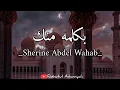 Download Lagu Bi Kelma Menak~Sherine Abdel Wahab~[Lirik dan terjemahan]