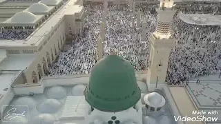 مصطفى مصطفى مؤثر جدا حن قلبى إليه 