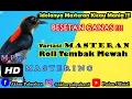 Download Lagu Masteran VARIASI ROLL DAN TEMBAK 100 % Jamin Ampuh - MASTERAN TERBARU 2022