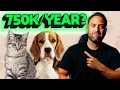 Highest Paid Veterinarians No One Is Talking About 2024