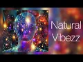 (432Hz) T.O.K. - Chi Chi Man