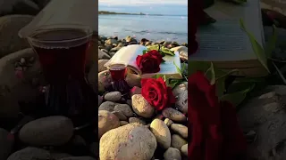 حالة وتس اغنيه فضل شاكر لونه بلون التمر 