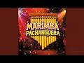 Download Lagu Marimba Pachanguera