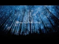 Athair Ar Neamh (Father in Heaven) - Enya