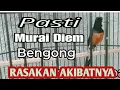 Download Lagu Pancingan GACOR Murai Batu EMOSI 100%Efektif bikin NGAMUK bongkar isian cililin kenari katem
