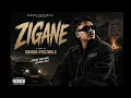 Zigane Full Song | Dhanda Nyoliwala x Shevv | Latest Haryanvi Song 2026