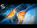 Download Lagu Cholesterol verwijderen met veelvuldige frequenties - Verbeterde cholesterolreductie