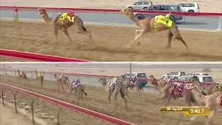 مهرجان ولي عهد دبي حقاقة للقبائل 24 1 2019 ص ش28 الشاهينية لـ عزيز بخيت سعيد فطيس المنصوري 5 54 7 