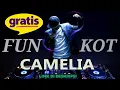 Download Lagu SINGLE FUNKOT Camelia 2024  | Lagu Enak Didengar Saat Santai dan Kerja 2024