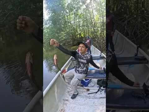 Pesca de pargos