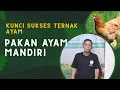 Download Lagu Kunci Sukses Ternak Ayam