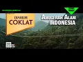 Lagu Djarum Coklat - Raissa Ramadhani \u0026 EIV Band (2024) 15s @ RCTI HD