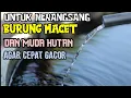 Download Lagu TERAPI AIR KERAN ( Air Mengalir ) || AMPUH ||   UNTUK BURUNG MACET DAN MUDA HUTAN Agar Cepat Bunyi