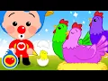 Lagu 🐔 Ayam Berwarna #2 🤍  Plim Plim 🎵 Video Pembelajaran