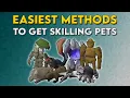 Easiest Methods to Get Skilling Pets