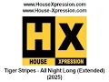 Tiger Stripes - All Night Long (Extended) (2025)