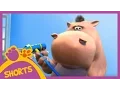 Download Lagu Pat and Stan |  A Spectacular Goodbye | Cartoons for Children