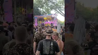 Shiba San at This916 block party