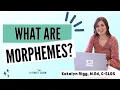 What Are Morphemes Mophology Basics Explained for Teachers