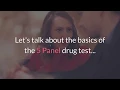 5 Panel Drug Tests - All You Need To Know