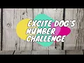 "Don't Say Numbers, Excite Dog!" A Silly Game About Numbers for Kids