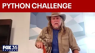 Florida Python Challenge winner nets 96 snakes 10 000 prize