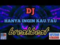 Download Lagu DJ HANYA INGIN KAU TAU BREAKBEAT