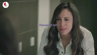 إليسا عكس إلي شايفينها ايلول  نبضات القلب  دندنها