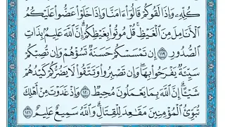 الربع الثاني من الجزء الرابع سورة آل عمران بصوت الشيخ ماهر المعيقلي 