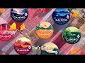 A Quick Look at Camino Gummies
