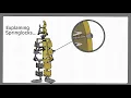 THIS is How Springlocks Work