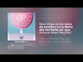 COMO OREO 💖 | BLESSD ❌ FUERZA REGIDA ❌ OVY ON THE DRUMS (Lyrics)